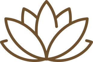 Personalized Wellness Plans