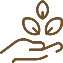 Innovative Therapies